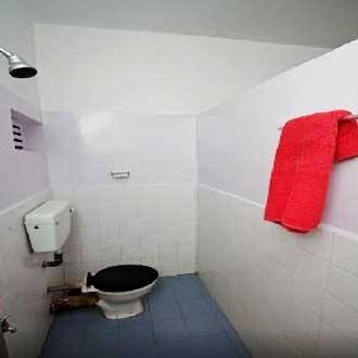 Minty Carlo Bungalow, Goa 3